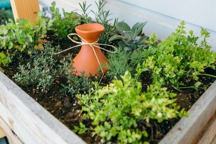 Économiser l’eau au jardin : 6 solutions pour arroser moins sans laisser mourir ses plantes